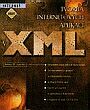 Tvorba internetový aplikácii XML